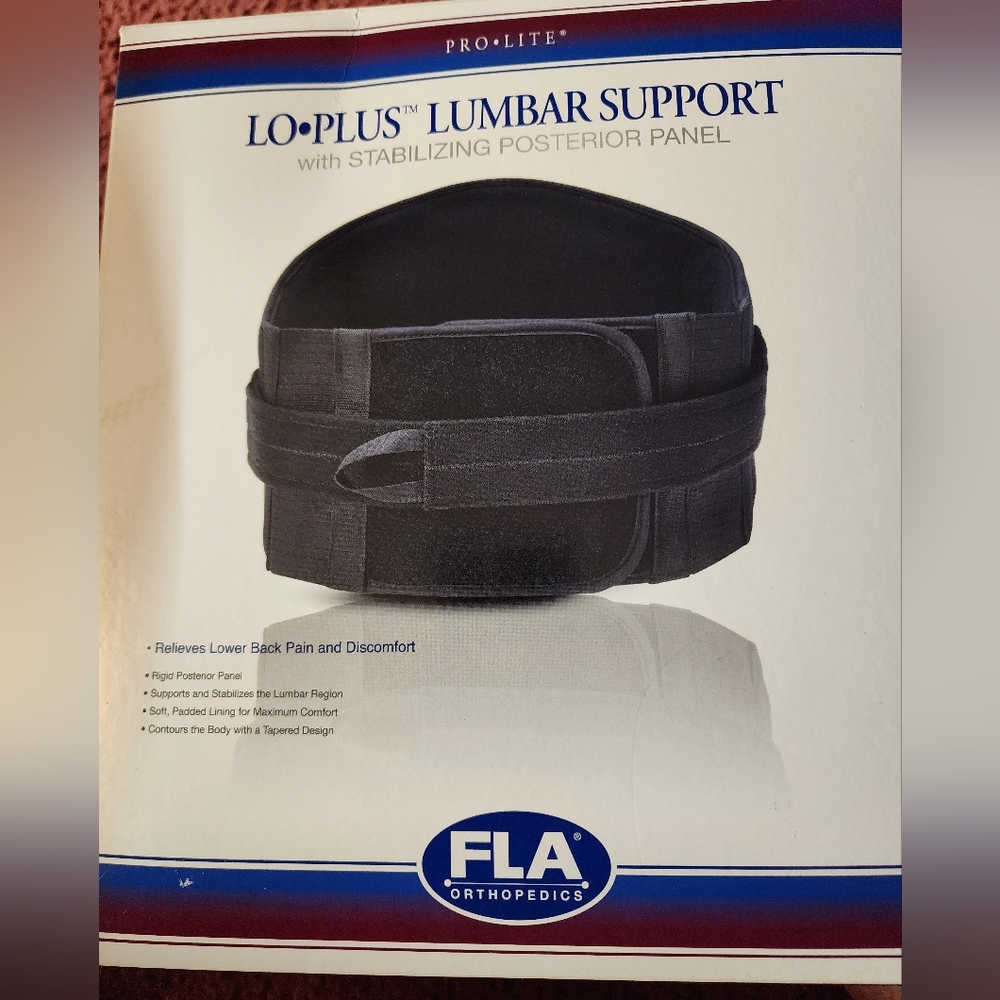 Black Lumbar Support With Stabilizing Posterior Panel